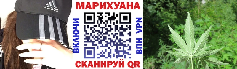 Канабис OG Kush Протвино